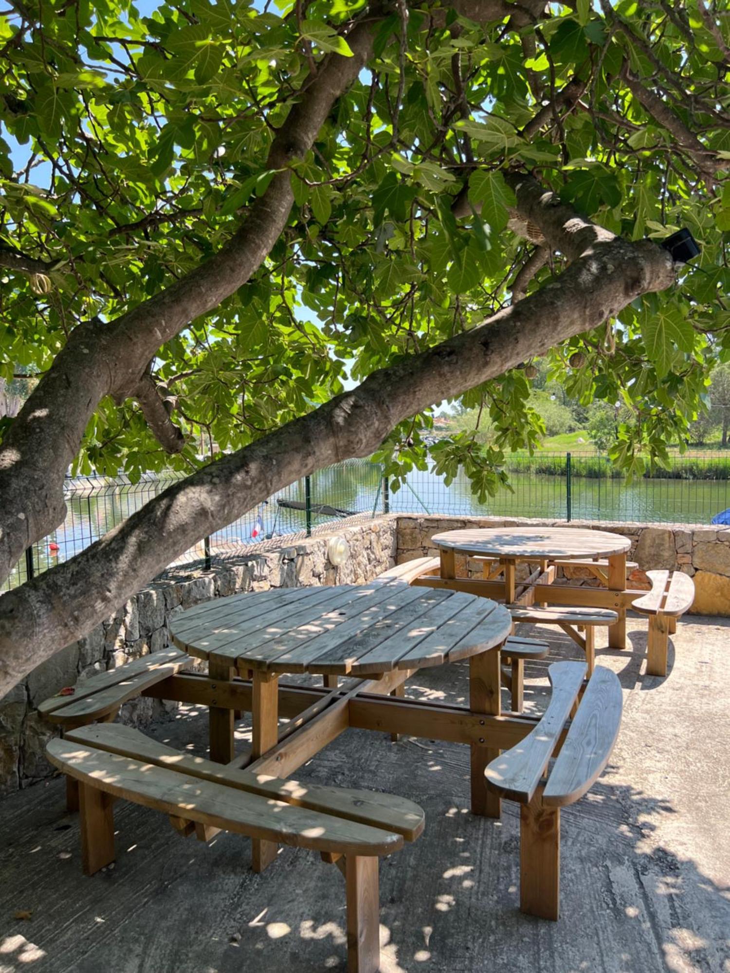 Camping Les Cigales Hotel Mandelieu La Napoule Ngoại thất bức ảnh